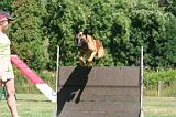 AGILITY - SAUT 299